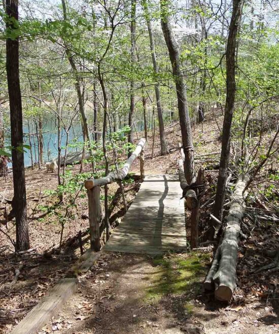 War Eagle Lake House Bridge to Lake