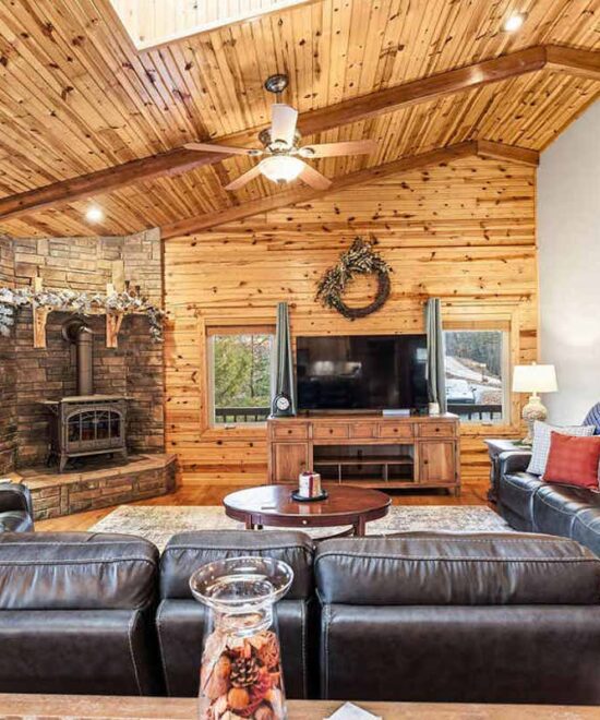 View Point Cabin Vacation Rental Living Room & TV