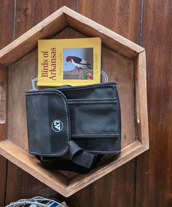 Tranquil Mountain Retreat Decor