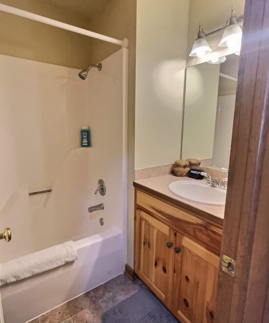 War Eagle Lake House Main Floor Hall Bath (Tub/Shower)