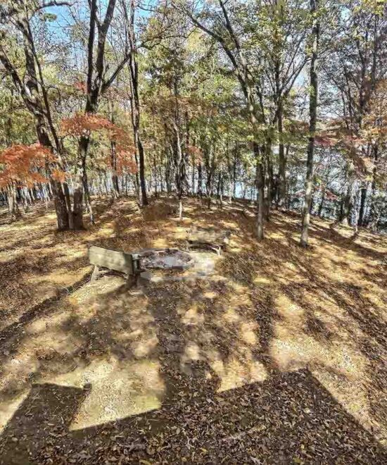 War Eagle Lake House Fire Pit with Lake View