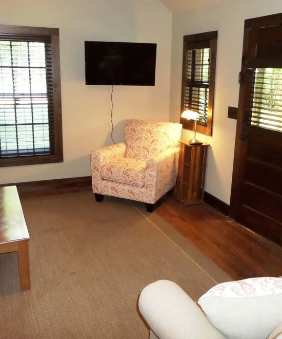 War Eagle Cabin Vacation Rental Living Room TV