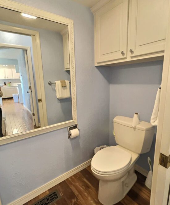 Tranquil Mountain Retreat Lower Level Toilet