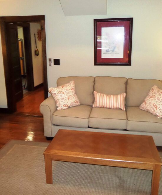 War Eagle Cabin Vacation Rental Living Room Sofa