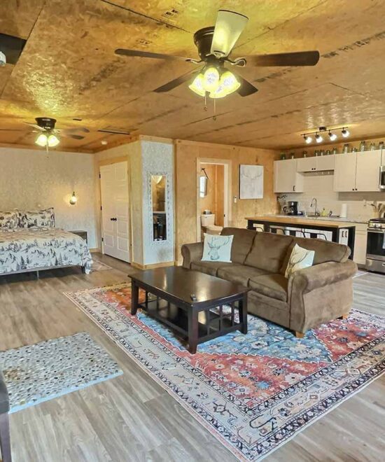 Bunkroom at Hogscald Vacation Rental Studio Style Open Plan Bedroom, Kitchen & Living Room