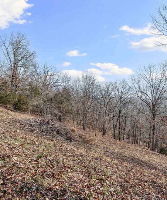 View Point Cabin Vacation Rental Back Yard