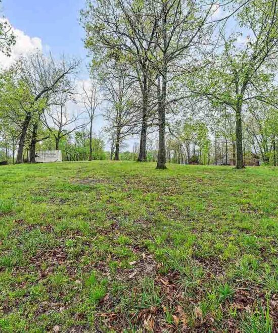 lqldn8lzyshttxon6g5v