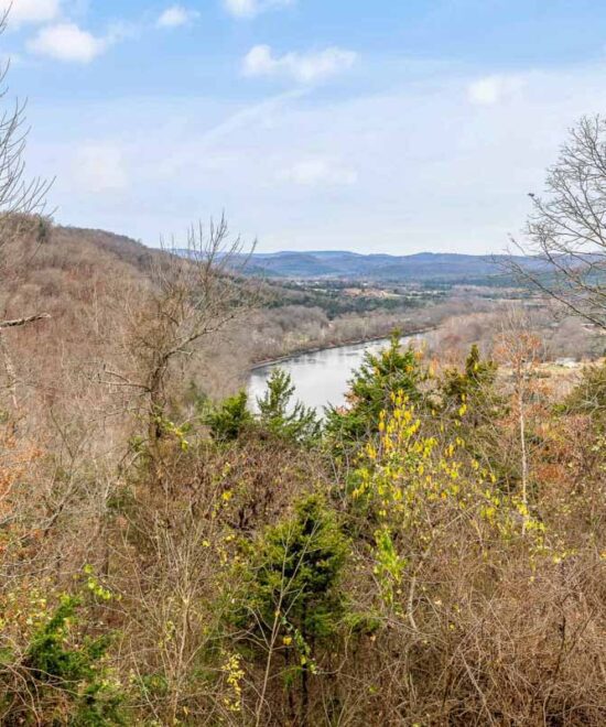 View of White River from Escape Cabin #3 on White River Vacation Rental offered by Hosted Journey Vacation Rentals
